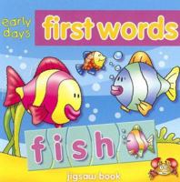 First Words (Magnetic Play & Learn) 1845100492 Book Cover