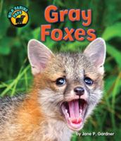 Gray Foxes 1617729310 Book Cover