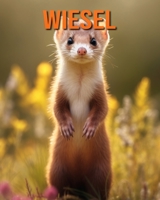 Wiesel: Buch mit lustigen Fakten für Kinder mit tollen Fotos B0C9KV45PQ Book Cover
