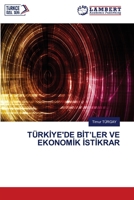 TÜRKİYE'DE BİT’LER VE EKONOMİK İSTİKRAR 6206149404 Book Cover