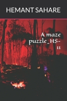 A maze puzzle_HS-11 B0BW2LM8VW Book Cover