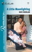 A LIttle Moonlighting 0373195958 Book Cover