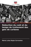 Réduction du coût et du temps de traitement des gels de carbone (French Edition) 6202607238 Book Cover