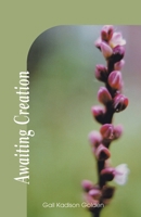 Awaiting Creation 1401053254 Book Cover