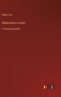 Wallensteins Antlitz 3743733226 Book Cover