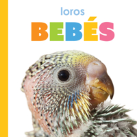 Loros Bebés: Spanish Edition B0F547DNLM Book Cover