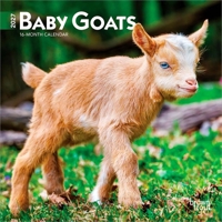 Baby Goats 2027 7 X 14 Inch (Hanging) Monthly Mini Wall Calendar B0GJV8TQ3Q Book Cover