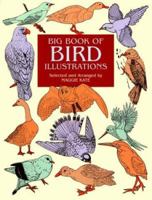 Big Book of Bird Illustrations 0486412253 Book Cover