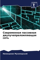 Современная пассивная двулучепреломляю&# 6206383105 Book Cover