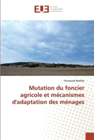 Mutation du foncier agricole et mécanismes d'adaptation des ménages 6138466128 Book Cover