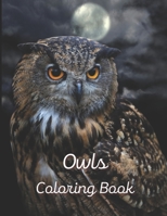 Owls Coloring book: A painting fun for children and adults. Book Cover 4 B0BS8ZG9G4 Book Cover