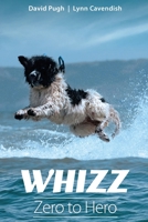 Whizz: Zero to Hero 1915662753 Book Cover