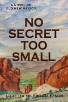 No Secret Too Small : A Novel of Old New Mexico 1952026032 Book Cover
