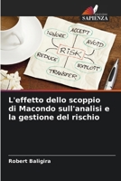 L'effetto dello scoppio di Macondo sull'analisi e la gestione del rischio (Italian Edition) 6206634078 Book Cover