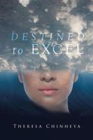 Destined to Excel 1640798641 Book Cover