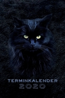 Terminkalender 2020: Katze Katzen Terminkalender und Tagesplaner ca DIN A5 farbig | 376 Seiten | 1 Seite pro Tag | Katzenliebhaber | Mieze Meow (German Edition) 1673103030 Book Cover