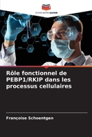 Rôle fonctionnel de PEBP1/RKIP dans les processus cellulaires 6205926741 Book Cover