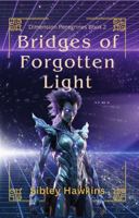 BRIDGES OF FORGOTTEN LIGHT: DIMENSIONAL PEREGRINES BOOK 2 (Dimension Peregrines) B0FLQJ4P9V Book Cover