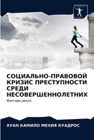 СОЦИАЛЬНО-ПРАВОВОЙ КРИЗИС ПРЕСТУПНОСТИ СРЕДИ НЕСОВЕРШЕННОЛЕТНИХ: Факторы риска 6203525790 Book Cover