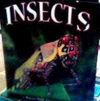 Insects (A smart start reader) 1588653560 Book Cover