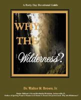 Why The Wilderness: A Forty Day Devotional Guide: God Sends Angels After We Go Through! 0595477666 Book Cover