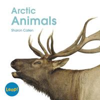 Arctic Animals (Leap! Set C: Life Cycles) 1625217072 Book Cover