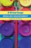 Virtual Image 0648920445 Book Cover