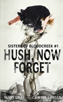 Hush, Now Forget 1948095009 Book Cover