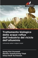 Trattamento biologico delle acque reflue dell'industria del riciclo dell'alluminio 6206850757 Book Cover