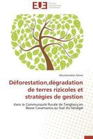 Déforestation, Dégradation de Terres Rizicoles Et Stratégies de Gestion 3838183649 Book Cover