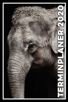 Terminplaner 2020: Jahresplaner von September 2019 bis Dezember 2020 mit Elefant - Planer mit 174 Seiten in wei� im Format A5 mit gl�nzendem Soft Cover. 170400957X Book Cover