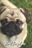 Don't Forget Me: Cute Pug Dog Look At Me.Internet Password Logbook with alphabetical tabs.Personal Address of websites, usernames, passwords notebook/Journal/Organizer/Keeper.Large printed format.Size 1709821434 Book Cover