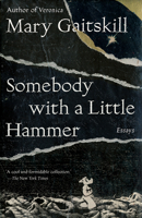 Somebody with a Little Hammer: Essays 0307472337 Book Cover