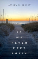If We Never Meet Again B0DTMT4J7N Book Cover