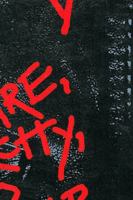 Flowers in the Dustbin: Culture, Anarchy, and Postwar England 0472065262 Book Cover