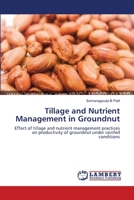 Tillage and Nutrient Management in Groundnut: Effect of tillage and nutrient management practices on productivity of groundnut under rainfed conditions 365963087X Book Cover