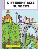 Different Size Numbers B09FCFH8WD Book Cover