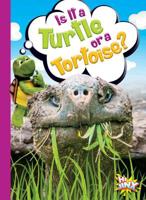 Is It a Turtle or a Tortoise? 1644660571 Book Cover