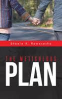 The Meticulous Plan 1491729082 Book Cover