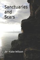 Sanctuaries and Scars B0DZJ1FWMS Book Cover