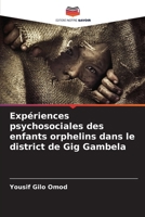 Expériences psychosociales des enfants orphelins dans le district de Gig Gambela (French Edition) 6208216214 Book Cover