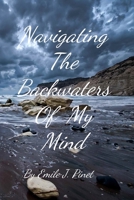 Navigating The Backwaters Of My Mind 1722955686 Book Cover