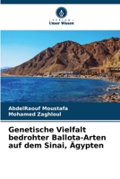 Genetische Vielfalt bedrohter Ballota-Arten auf dem Sinai, Ägypten (German Edition) 6630263375 Book Cover