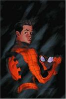 The Amazing Spider-Man Vol. 2: Revelations 0785108777 Book Cover