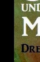 Drachen, Orks Und Magier (German Edition) 373890705X Book Cover