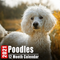 Calendar 2021 Poodles: Cute Poodle Photos Monthly Mini Calendar With Inspirational Quotes each Month B08DC6GSZ9 Book Cover