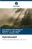 Hybridmodell (German Edition) 6209321348 Book Cover