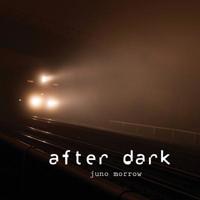 after dark 1095585495 Book Cover