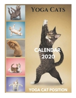 Yoga Cats Calendar 2020 - Yoga Cat Position: Yoga Cats Calendar 2020, Yoga Cat Position, Yoga Cats Calendar, Yoga Cat Calendar, Yoga Cat Cow, Yoga Categories, Yoga Catchphrases 1670777324 Book Cover