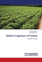 Deficit Irrigation of Potato: Santeh Cultivar 3659361593 Book Cover